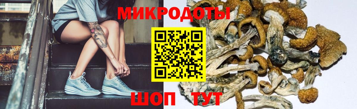 Домодедово  Галлюциногенные грибы Cubensis  Вход с VPN 